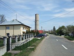 roci primarie