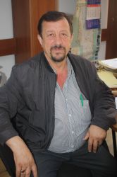 cicanesti
